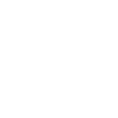 01 - FENIX BOARD